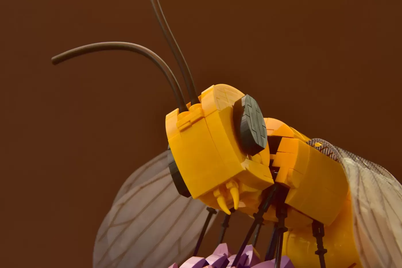 LEGO® Ideas Amazing Bee Project Buzzes with 3k Supporters ,  lego ideas amazing bee project buzzes with 81k supporters img …